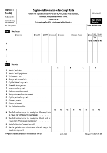 Schedule K 990 - Schedule K 990 Financial Form for 2025