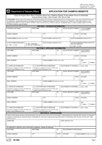 10-10D - 10-10D Healthcare Form for 2025