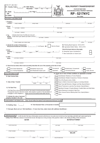 RP 5217 - RP 5217 Form for 2025